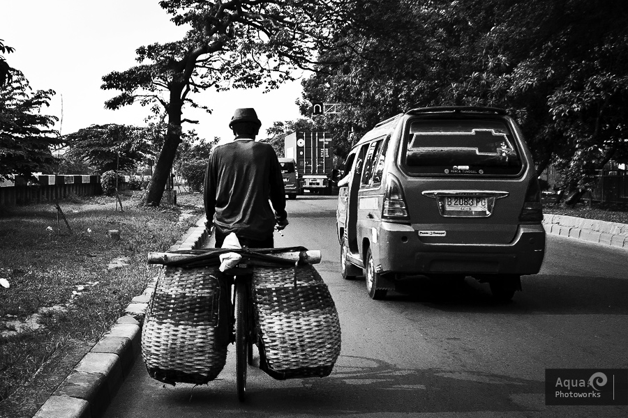 On Bicycle with Baskets